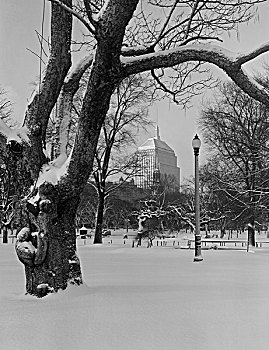美国,马萨诸塞,波士顿,公园,积雪,建筑背景
