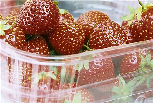 新鲜,草莓,塑料碗