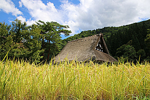 白川乡合掌村