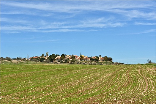 以色列,乡村