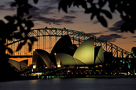 澳大利亚,悉尼,光亮,剧院,海港大桥,夜景