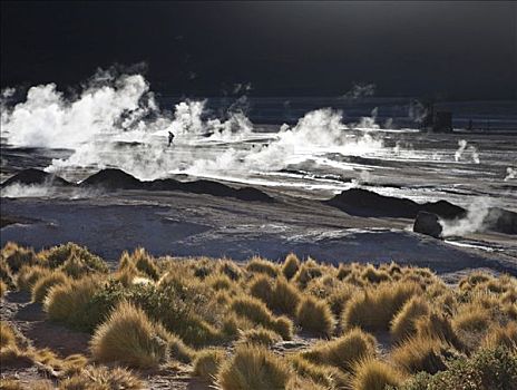 温泉,蒸汽,日出,安托法加斯塔,智利,南美