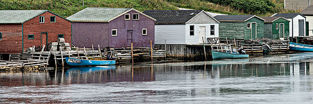 房子,水岸,水塘,格罗莫讷国家公园,纽芬兰,拉布拉多犬,加拿大