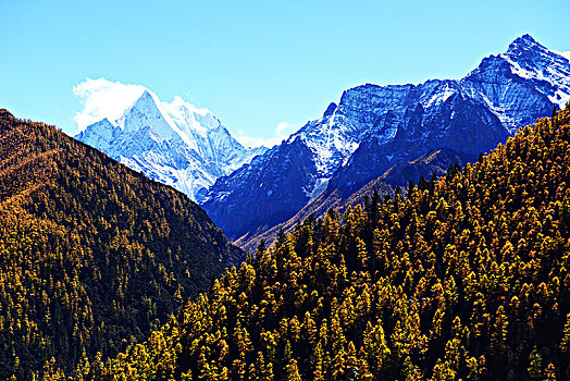 四川,亚丁,稻城,景区,甘孜州,藏族,自然,山水,雪山,风光