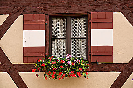 窗台花箱,窗,巴伐利亚,德国