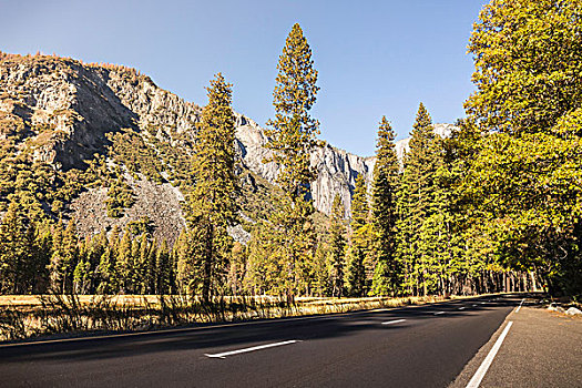 公路,优胜美地国家公园,加利福尼亚,美国