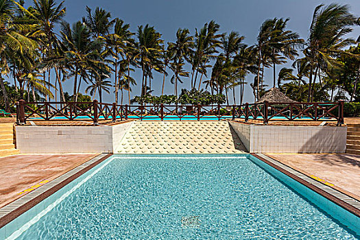 游泳池,棕榈树,蓝天