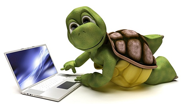 龟,笔记本电脑