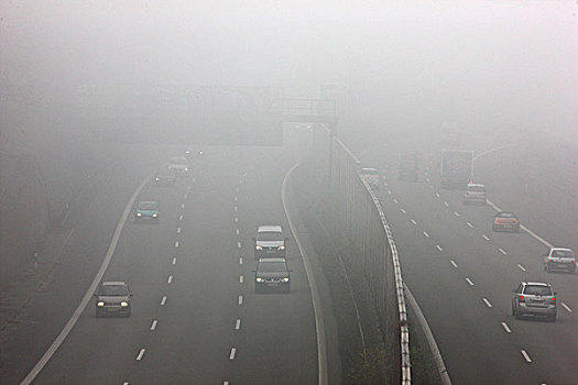 高速公路,浓厚,雾,秋天,能见度,仰视,北莱茵威斯特伐利亚,德国,欧洲