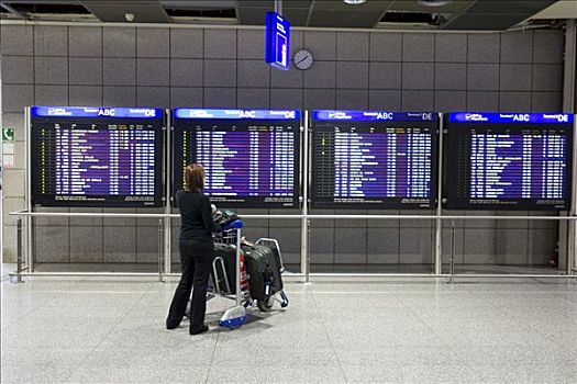 乘客,行李车,正面,飞行,信息,显示屏,法兰克福,机场,黑森州,德国,欧洲
