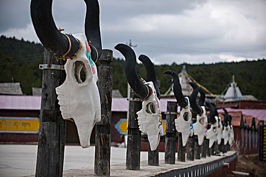 藏族牛头雕塑