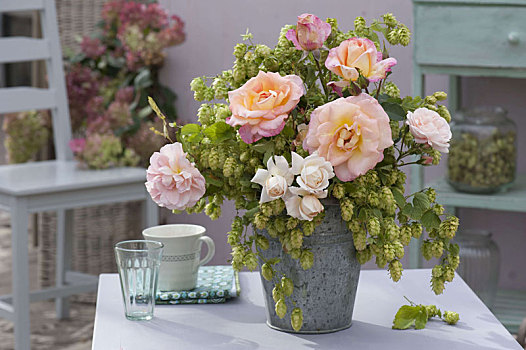 粉色,玫瑰,律草属,花束,花瓶