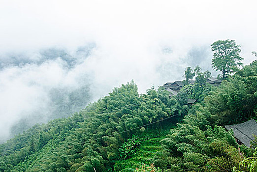 大山里的田园春色