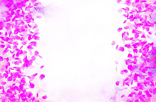紫红色花瓣背景