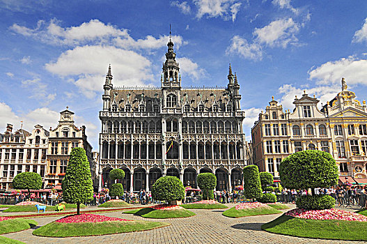 房子,著名,大广场,布鲁塞尔,比利时,联合国教科文组织,世界遗产
