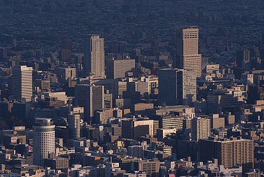 札幌,朝霞