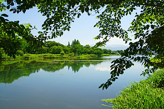 湖,熊本,日本