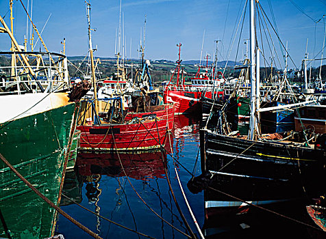 湖,多纳格,爱尔兰,船,渔业,港口