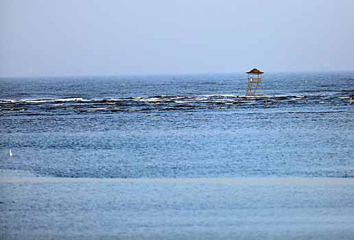 北戴河观鸟湿地