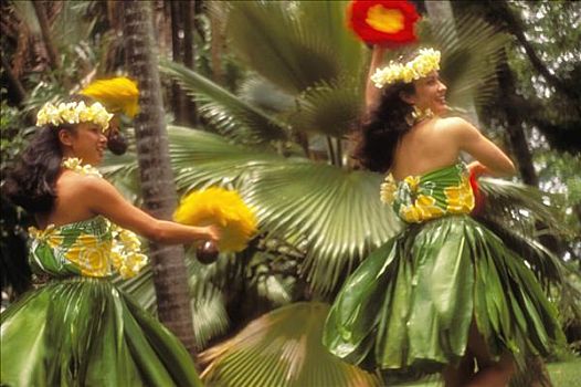 彩色,夏威夷,玻利尼西亚女人,跳舞,草裙舞,裙子,羽毛