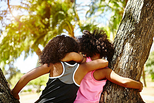 两个,孩子,姐妹,玩,树上,后视图