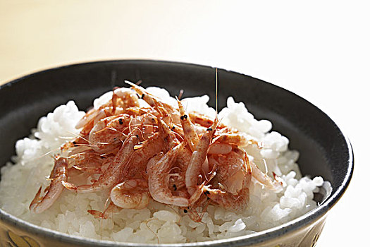 shrimp,rice
