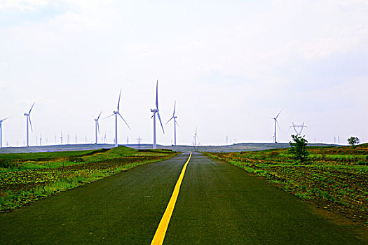 草原柏油路风车