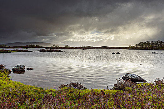 海岸线,湖,荒野,风景,雷雨天气,兰诺克沼泽,苏格兰,英国