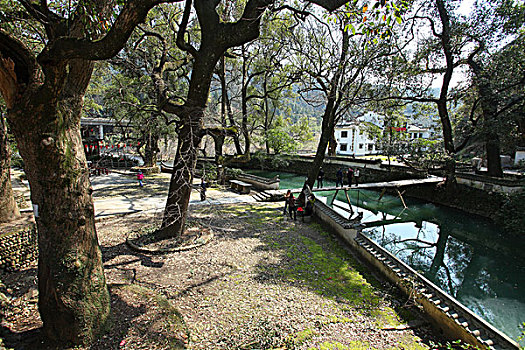 婺源,春天,油菜花,徽派,建筑,晓起,风情,风景,风光,乡村,民居