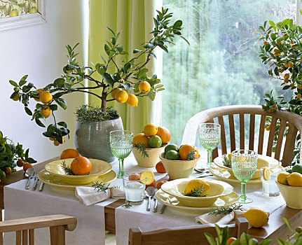 桌饰,柑橘,容器