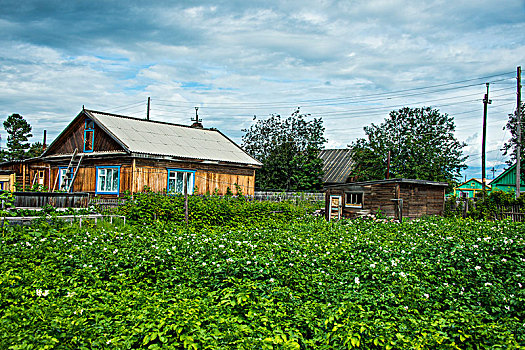 木屋,小,乡村,仰视,火山,堪察加半岛,俄罗斯