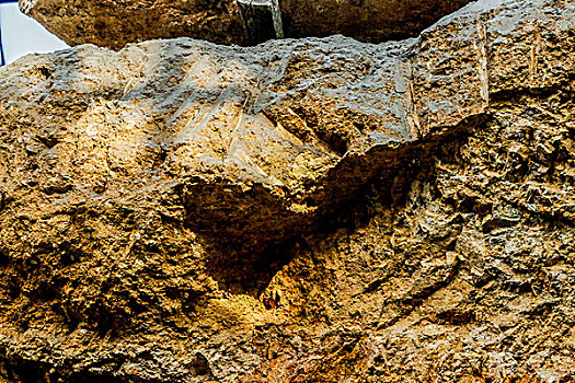 古迹岩层化石岁月痕迹