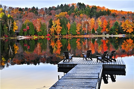 木质,码头,秋天,湖