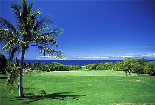 夏威夷,夏威夷大岛,柯哈拉海岸,莫纳克亚山海滩酒店,高尔夫球场