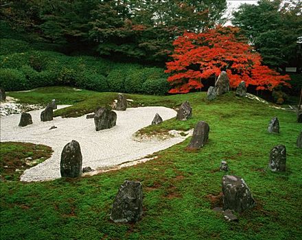 日本,京都,沙子,石头,花园,枫树