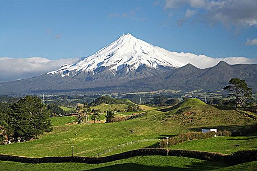 农田,靠近,山,塔拉纳基,北岛,新西兰