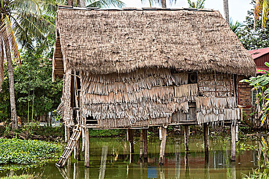 柬埔寨,收获,省,乡村,茅草屋顶,房子,小,近郊