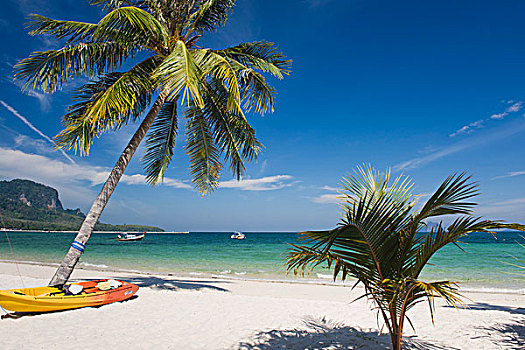 棕榈海滩,岛屿,泰国,东南亚