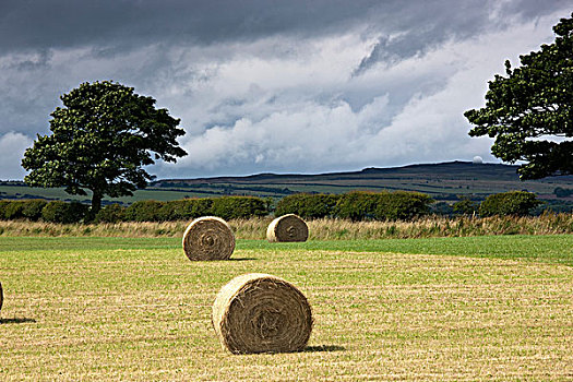 干草包,土地,诺森伯兰郡,英格兰