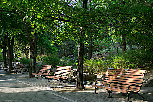 长椅园林公园香山