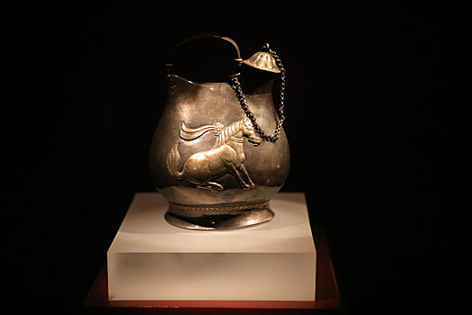 陕西历史博物馆国宝,鎏金舞马衔杯纹银壶