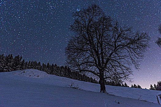 夜空,阿尔卑斯山