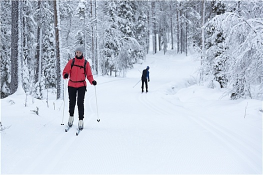 女人,越野滑雪,雪,树林