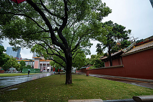 广州春雨中的广州图书馆农讲所红墙绿树大广场