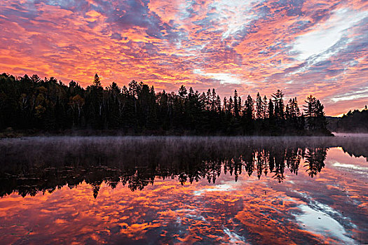 红色,云,亮光,天空,水,湖,阿尔冈金公园,安大略省,加拿大