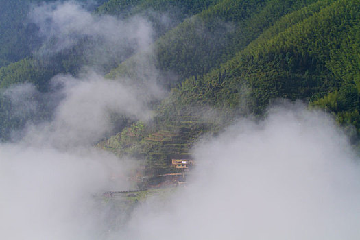 山里人家