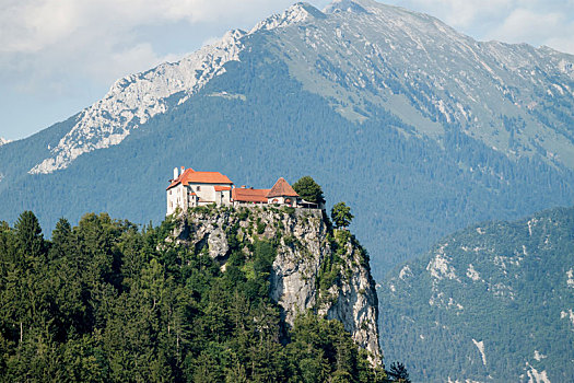 城堡,上方,布莱德湖,斯洛文尼亚
