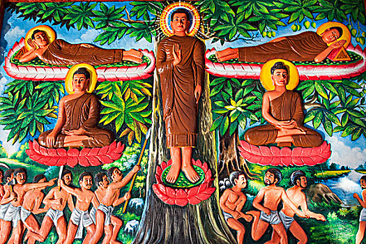 柬埔寨,收获,庙宇,壁画,描绘,生活,佛