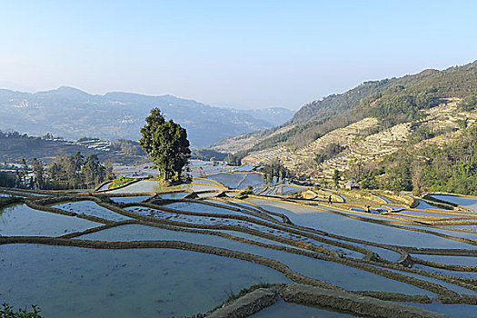 蓝梯田