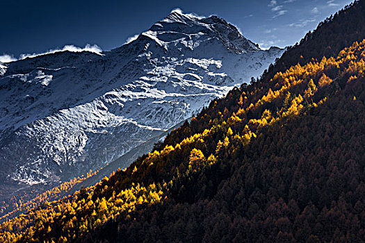 金秋四姑娘山高原风景